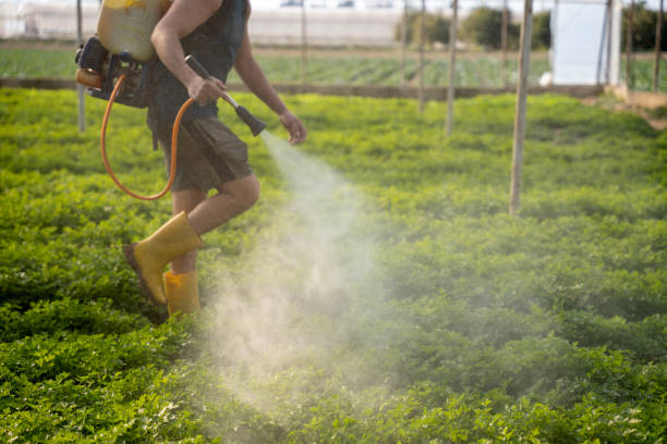 Best Ant Control Services  in East Dundee, IL