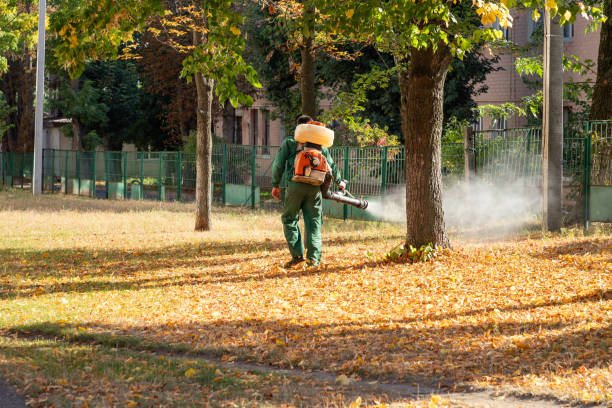 Best Termite Control Services  in East Dundee, IL
